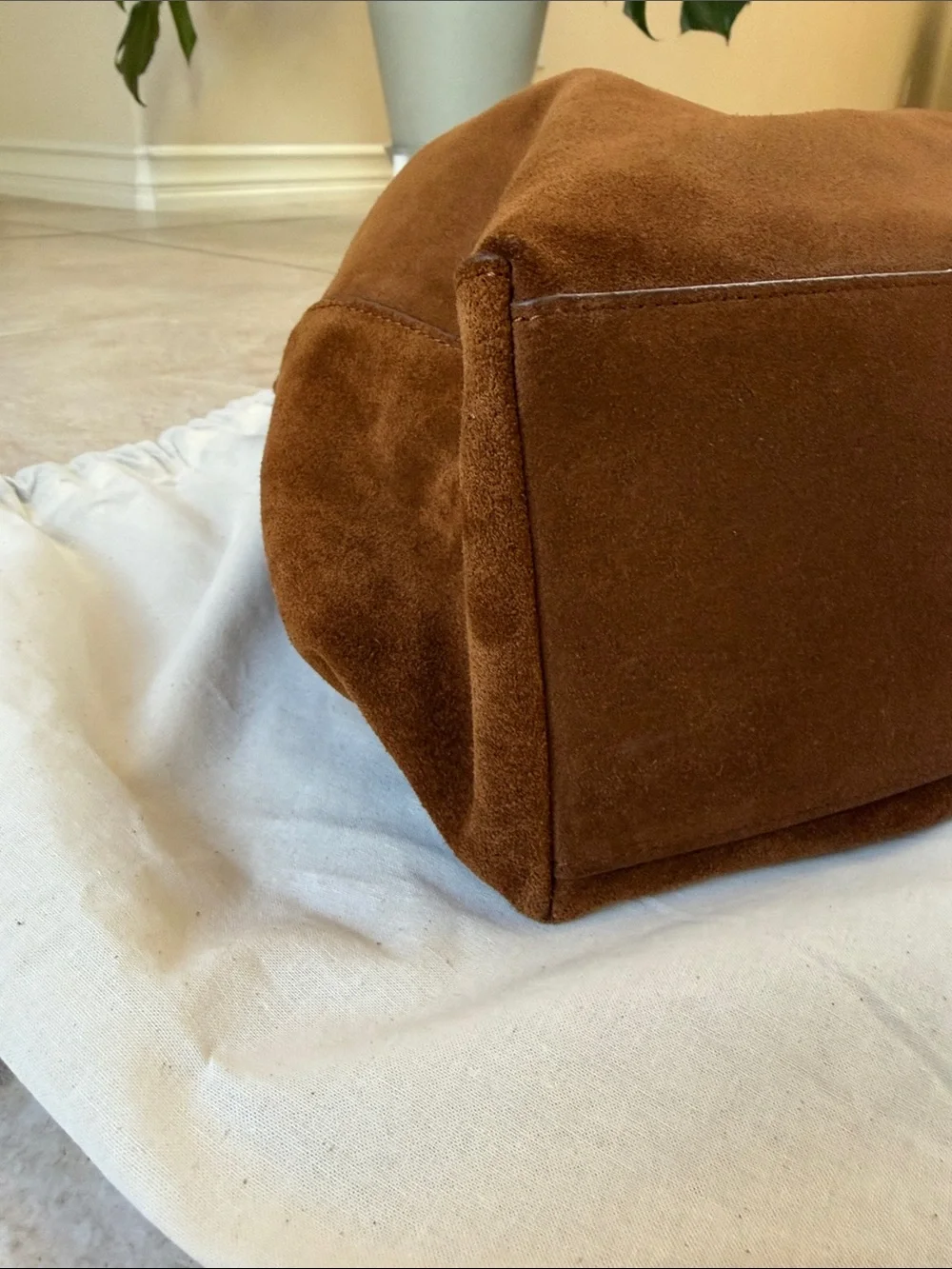Quince minimal suede